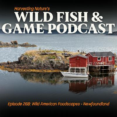 Episode 268: Wild American Foodscapes - Newfoundland