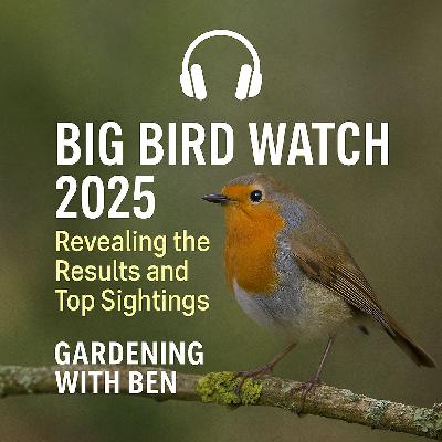 🎧 🕊️ Big Bird Watch 2025: Revealing the Results and Top Sightings