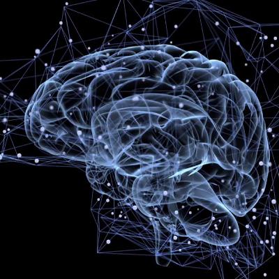 La tech risque t-elle d’anéantir une partie des capacités de notre cerveau ? La tech risque t-elle d’anéantir une partie des capacités de notre cerveau ?