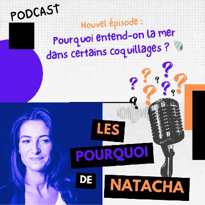 Pourquoi entend-on la mer dans certains coquillages ? 🐚
