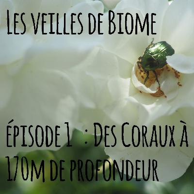 Les veilles de Biome - épisode 1 : Des Coraux à 170m de profondeur