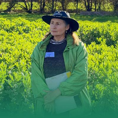 Look out for barley scald in Western Australia