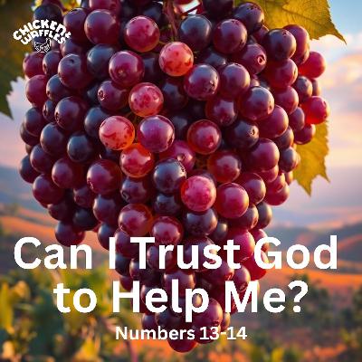 Can I Trust God to Help Me? (Numbers 13-14)