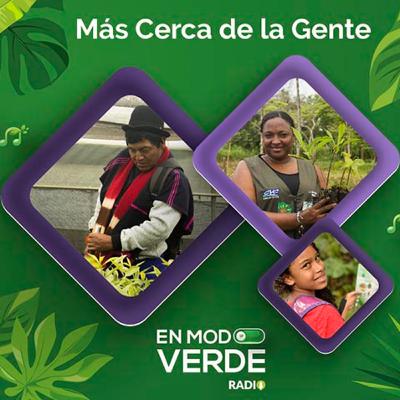 2mil jóvenes ya estudian gratis el diplomado de la CVC “Tesos por el Ambiente” - En Modo Verde Radio 2mil jóvenes ya estudian gratis el diplomado de la CVC “Tesos por el Ambiente” - En Modo Verde Radio