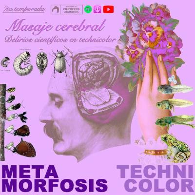 METAMORFOSIS TECHNICOLOR