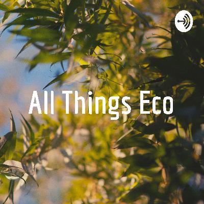 Intersectional Environmentalism + Representation| Ecogirlzim and Christabel Zhou