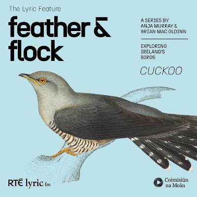 Feather and Flock - The Cuckoo | The Lyric Feature