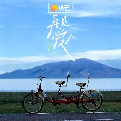 v9.《再见爱人5》深扒 —— 三对夫妻的亲密关系困局与情感真相（一）