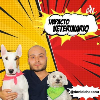 Impacto Veterinario (Trailer)
