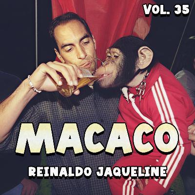 MACACO: Nosso primo primata - 35