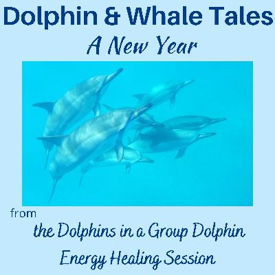 14 Group Dolphin Energy Healing - A New Year