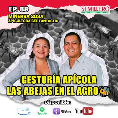 EP. 88 Gestoría apícola: las abejas y el agro | Lic. Minerva Sosa🐝🌱
