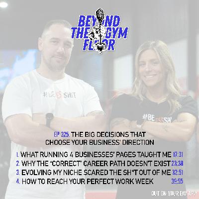 Ep 325 - The big decisions that choose your business' direction