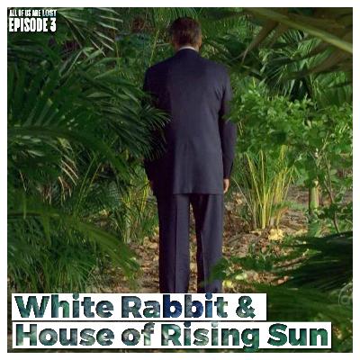 Chasing the White Rabbit and What Does Willie Nelson Know? (White Rabbit & House of the Rising Sun)