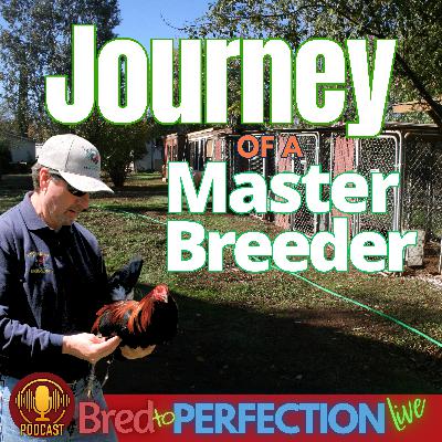 Ep276 - The Journey of a Master Breeder: Lessons Learned from Experience, Failure, and Mentorship
