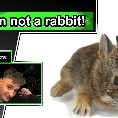 Jackrabbit Facts | 10 Animal Facts about Jackrabbits Jackrabbit Facts | 10 Animal Facts about Jackrabbits