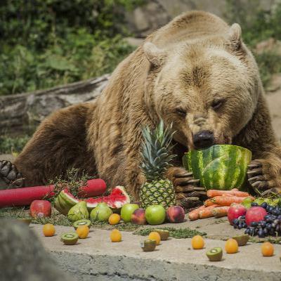 Frutos Transgénicos