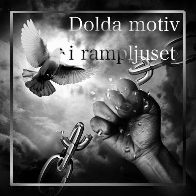 30. Skyddade personuppgifter