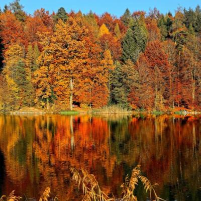 The Book Nook - November Edition