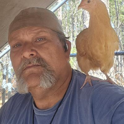 Mastering the Pecking Order: Integrating New Chickens into Your Flock