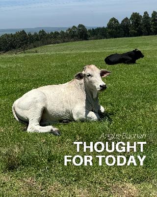 Count Your Blessings