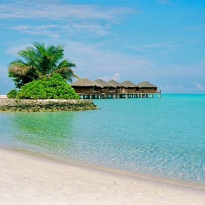 #35 もはやモルディブはセレブの旅行先ではない。