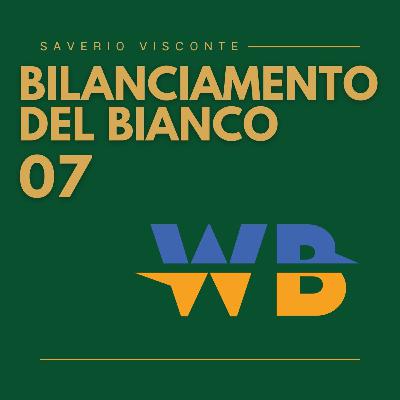 7 - Il bilanciamento del Bianco 7 - Il bilanciamento del Bianco