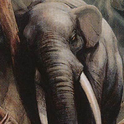Is Premodern Still Affordable? | The Old Mage MTG Podcast Ep. 107