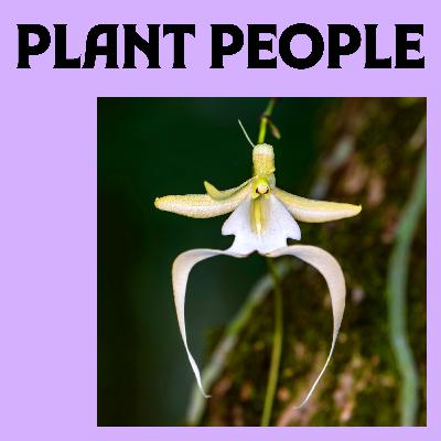 Ghost Orchid with Dr. Melissa Abdo