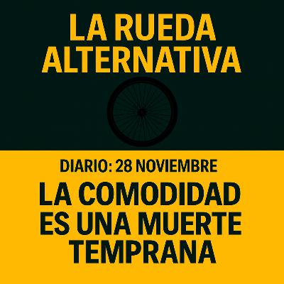 Diario 28 de Noviembre : La comodidad es una muerte temprana Diario 28 de Noviembre : La comodidad es una muerte temprana