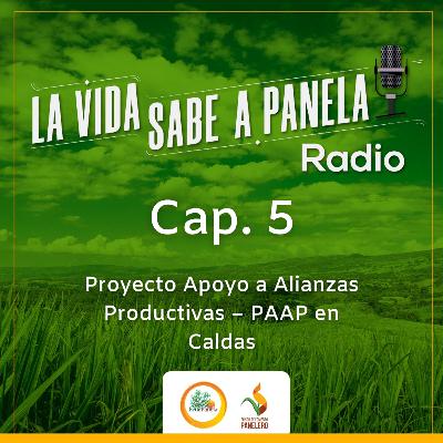 Capítulo 5 - Proyecto Apoyo a Alianzas Productivas – PAAP en Caldas Capítulo 5 - Proyecto Apoyo a Alianzas Productivas – PAAP en Caldas
