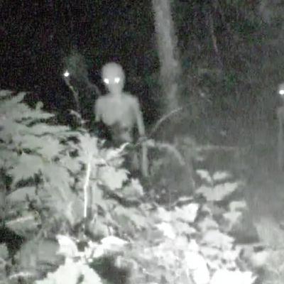 U.S Navy SEAL Warns Of NEW SPECIES U.S Navy SEAL Warns Of NEW SPECIES