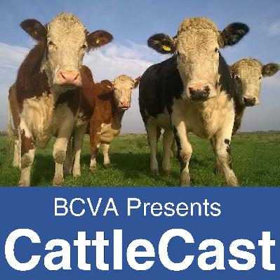 CattleCast - Episode 21 CattleCast - Episode 21