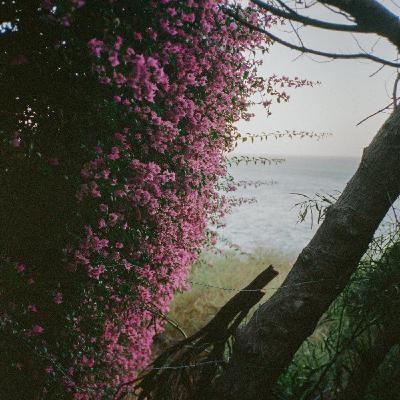 André Josselin × Gil: Wie wird man Ambassador?