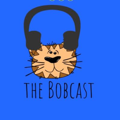 How To Care For A Budgie