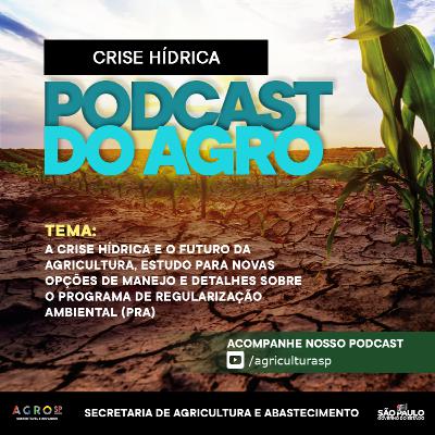 PODCAST DO AGRO: CRISE HÍDRICA - EP04 PODCAST DO AGRO: CRISE HÍDRICA - EP04