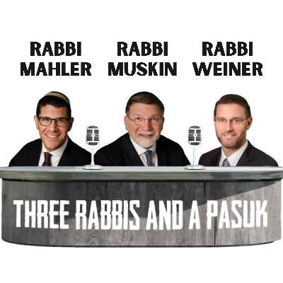 Parshat Ki Teitzei