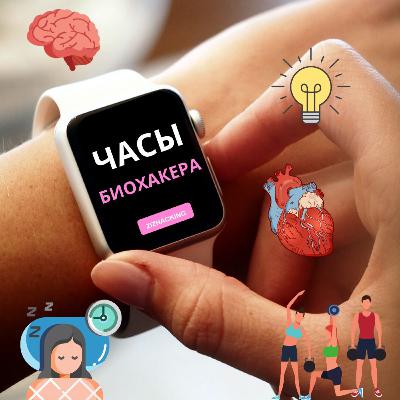 Умные часы и умное кольцо для отслеживания эффективности в биохакинге. Умные часы и умное кольцо для отслеживания эффективности в биохакинге.