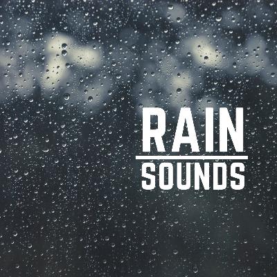 Sound of Rain