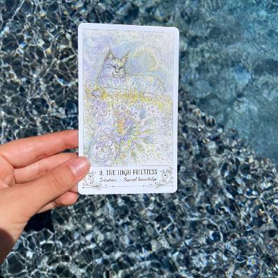 Journey of the Tarot: High Priestess