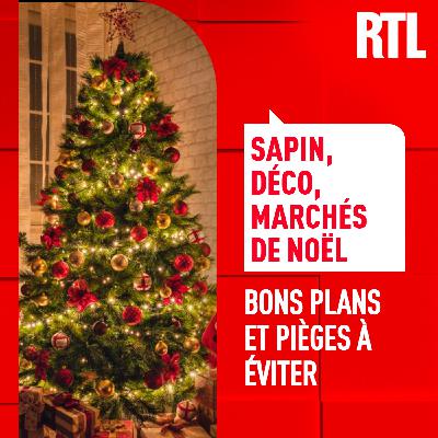 Sapins, décorations, marchés de Noël : les bons plans et les pièges à éviter Sapins, décorations, marchés de Noël : les bons plans et les pièges à éviter