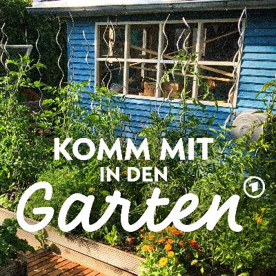 Was macht ein Kleingartenfachberater?