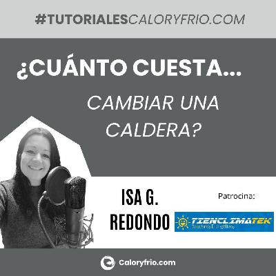 ¿Cuánto cuesta cambiar una caldera? ¿Cuánto cuesta cambiar una caldera?