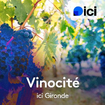 Déjà 20 ans pour les vignobles Silvio Denz en Gironde. Un empire qui mêle vin, art, architecture et haute gastronomie