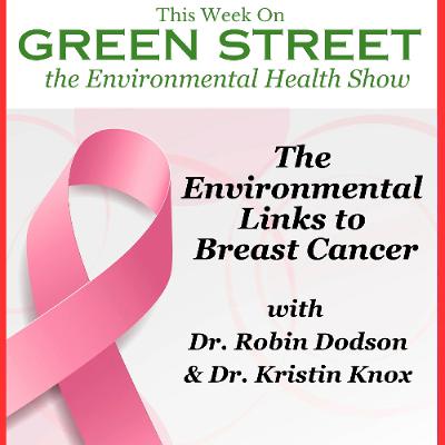 The Environmental Links to Breast Cancer The Environmental Links to Breast Cancer