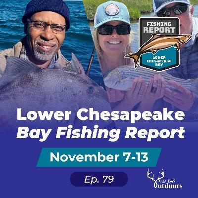 Bull Reds On Parade, Giant Triggerfish, Seabass and Inshore Striped Bass