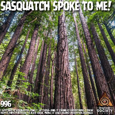 Logger Encounters Sasquatch on the Olympic Peninsula and Realizes They Are Intelligent | Archives Logger Encounters Sasquatch on the Olympic Peninsula and Realizes They Are Intelligent | Archives
