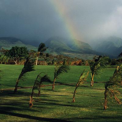 #4. Như gió qua truông - Trúc Thiên