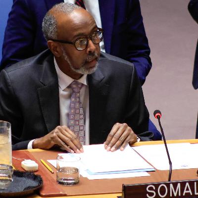 UN Security Council members condemn Israel’s recognition of Somaliland