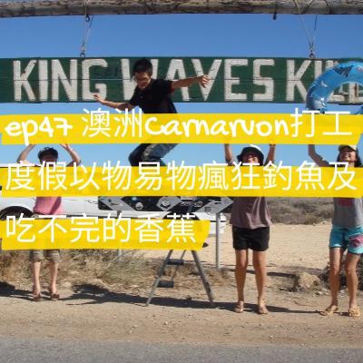 ep47 澳洲中部農漁業小鎮Carnarvon,打工度假以物易物，瘋狂釣魚，車庫拍賣，吃不完的香蕉